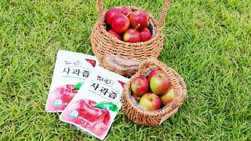 Seoul: Pocheon Art Valley and Fruit Picking Day Tour - Pocheon Art Valley: Cliffs, Crystal Water, and K-Drama Style Scenery