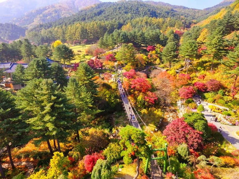 Seoul: Pocheon Art Valley and Fruit Picking Day Tour - The Rest of the Itinerary: How the Day Stays Smooth
