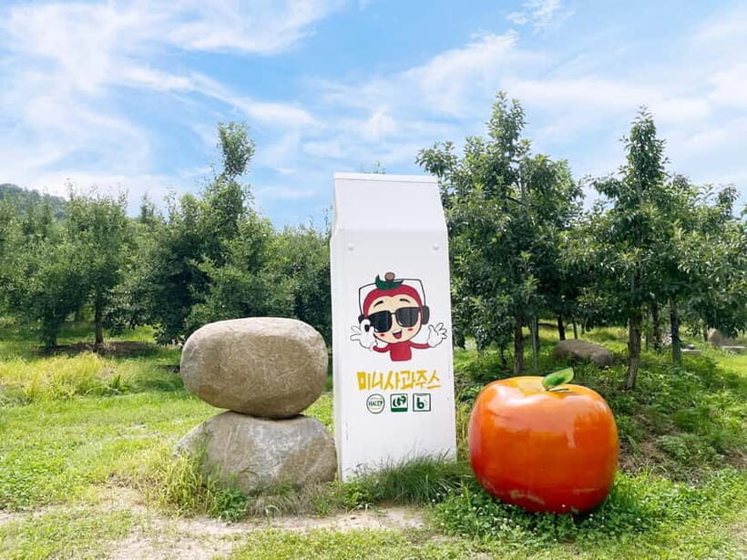 Seoul: Pocheon Art Valley and Fruit Picking Day Tour - Guides, Pace, and Group Size: What You Should Expect