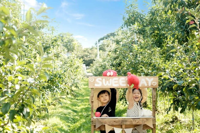 Seoul: Pocheon Art Valley and Fruit Picking Day Tour - FAQ