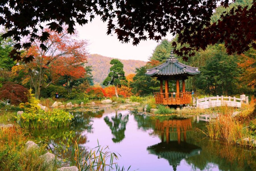 Seoul: Private Customizable Tour to Nami Island and More - Who should book this private Nami Island day trip