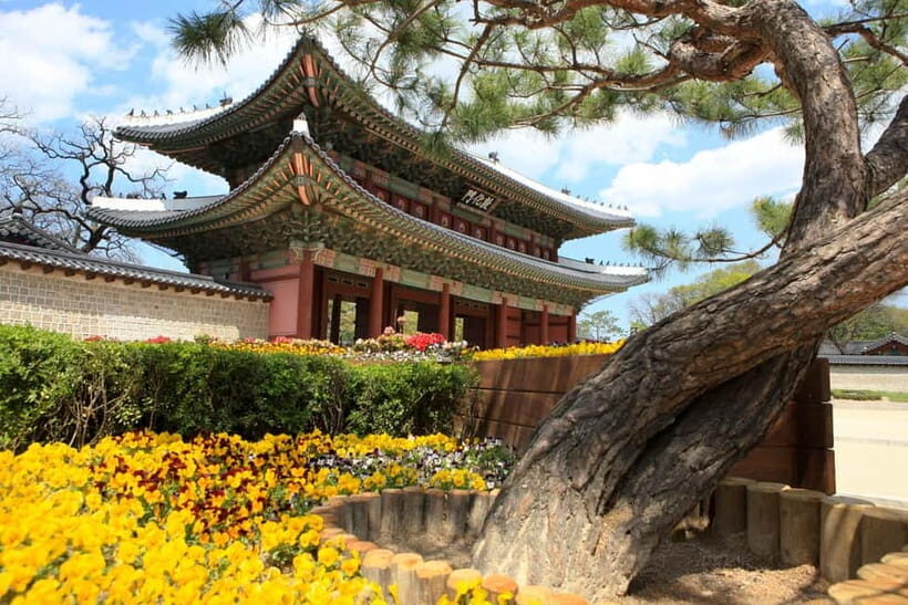 Seoul: Temple Vegan Cooking Class & Oriental Medicine Tour - FAQ