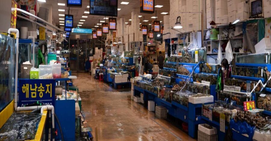 Seoul: The Biggest Sea-food Noryangjin Market Food Tour - The market’s scale: 250 to 300 tons traded every day