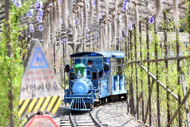 Seoul Vicinity 5 in 1: Nami Island, Garden of Morning Calm & More - Petite France and Italia Village: quick photo energy, but check the time