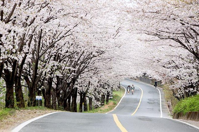 Small Group 7D Korea package Tour with Seoul Gyeongju Busan Jeju - The real value: what this tour saves you
