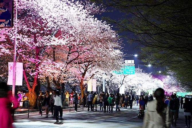 Small Group 7D Korea package Tour with Seoul Gyeongju Busan Jeju - Seoul Days 5–6: cooking class, palaces, hanok lanes, and two food stops