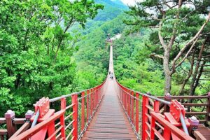 Small-Group DMZ Tour w/ North Korea Experience Hall & Susp.Bridge - Imjingak Park: Freedom Bridge and the refugee memory before you see the border