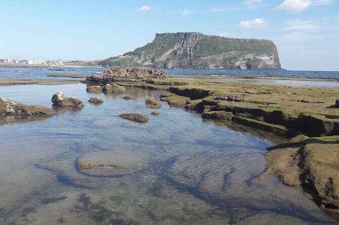 Small group Private Taxi Tour DAY experience in Jeju island - How the Day Flows: 8–9 Hours and Real-Time Planning