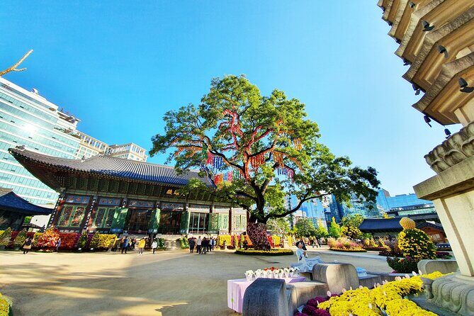 Small-Group Royal Palace and Seoul City Tour (hotel pick-up) - Blue House Views: A Palace-Garden Neighborhood Legacy
