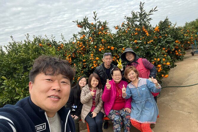 Small group tour FULL - PACKAGE Tour to All Areas in Jeju Island - Key things I’d mark on your Jeju map