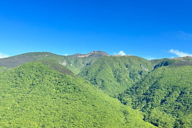 Small Group Tour in South Jeju Healing Island w/Mt. Halla & Falls - O’seulloc Tea Museum and Innisfree Jeju House: matcha tasting plus product time