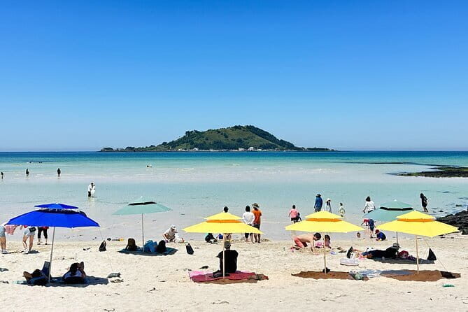 Small Group Tour in West Jeju Healing Island w/Caves & Dolphins - A small-group West Jeju plan that doesn’t feel rushed