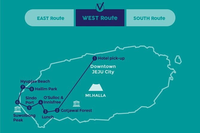 Small Group Tour in West Jeju Healing Island w/Caves & Dolphins - Gotjawal Provincial Park: the “healing” forest walk with lava-rock logic