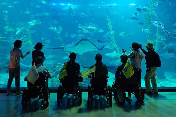 Small Group Tour in West Jeju Healing Island w/Caves & Dolphins - Hallim Park: nine themes of West Jeju in one organized loop