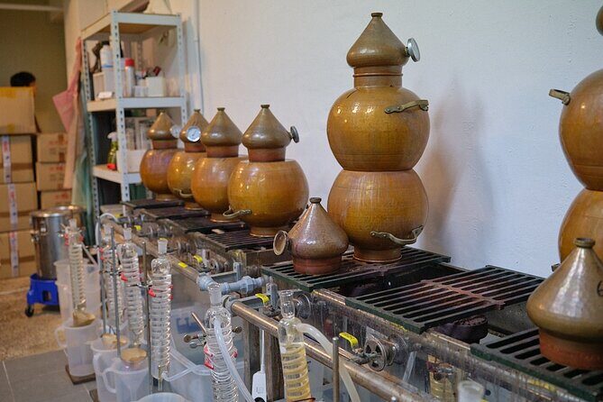 Soju Tasting at Distillery - story of 3 pigs - The history lesson that sticks: what you learn beyond the glass