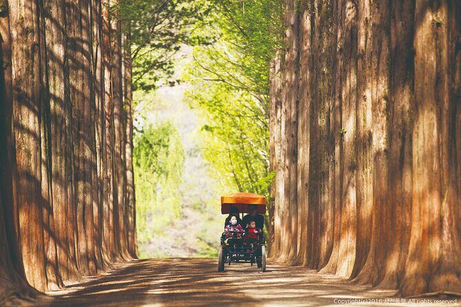 Special Private Tour Nami Island, Rail Bike, Petite France - Petite France: a small French-themed village in Korea