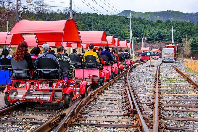 Special Private Tour Nami Island, Rail Bike, Petite France - Private transportation and timing: how the day stays under control