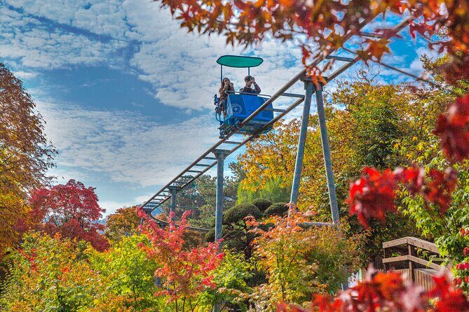 Special Private Tour Nami Island, Rail Bike, Petite France - Chuncheon lunch at 호원가든: the break your legs want