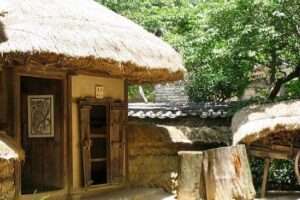 Traditional Korean folk village Afternoon tour - A Joseon-Dynasty time out: Seoul to the folk village in one afternoon