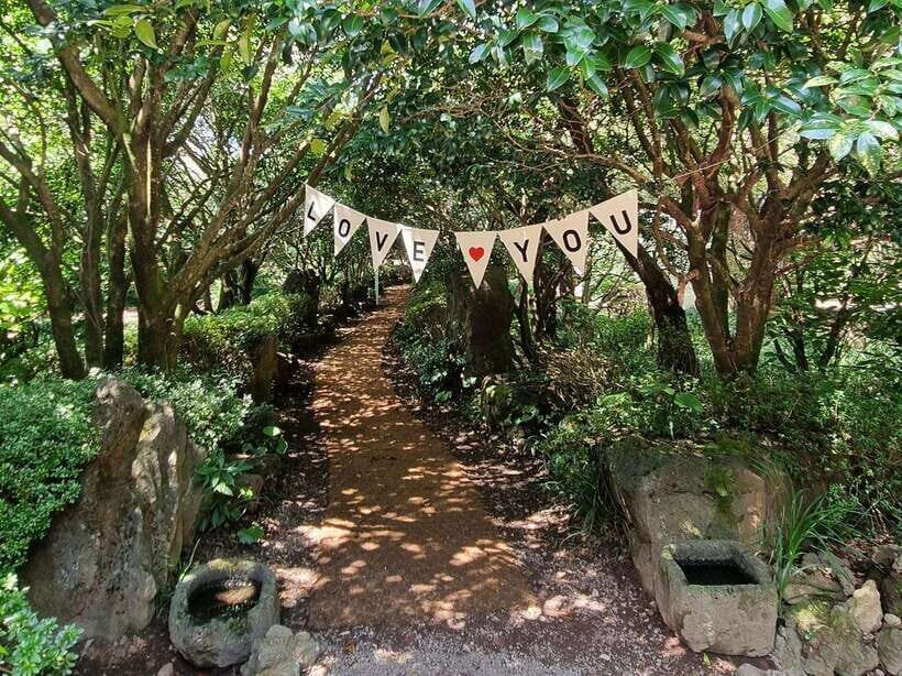 West & South Jeju: Hallasan Trail, Waterfall, Tea Field Tour - Key reasons this day trip works