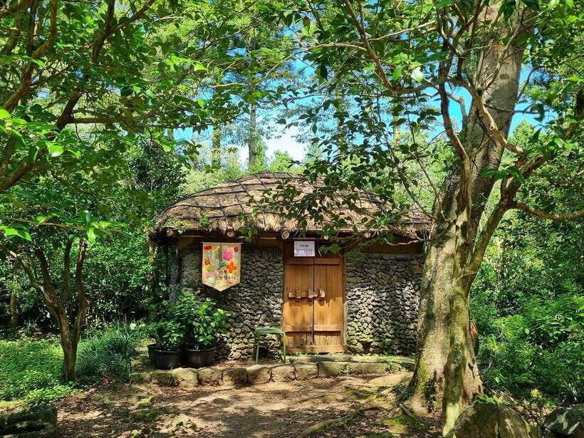 West & South Jeju: Hallasan Trail, Waterfall, Tea Field Tour - West and South Jeju in one day: the logic behind the route