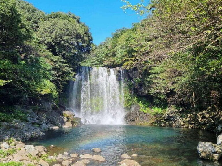 West & South Jeju: Hallasan Trail, Waterfall, Tea Field Tour - Getting picked up in Jeju City (and why timing matters)