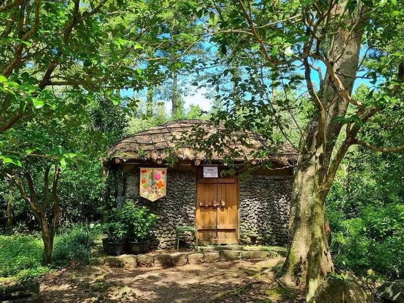 West & South Jeju: Hallasan Trail, Waterfall, Tea Field Tour - Price and value: what $51 buys you in real terms