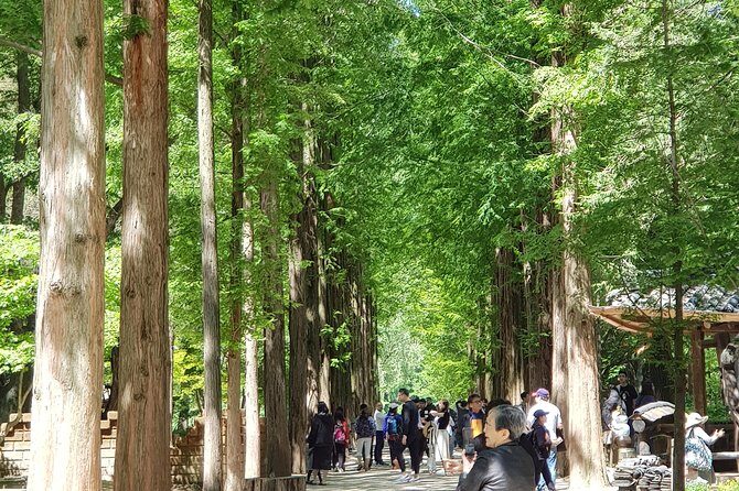 Winter Sonata TV Tour on Nami Island from Seoul - Getting to Nami Island: why the drive matters more than you think