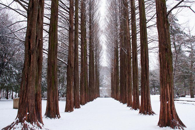 Winter Sonata TV Tour on Nami Island from Seoul - Lunch on Nami Island and the Gapyeong-gun stop: what’s included vs what to plan