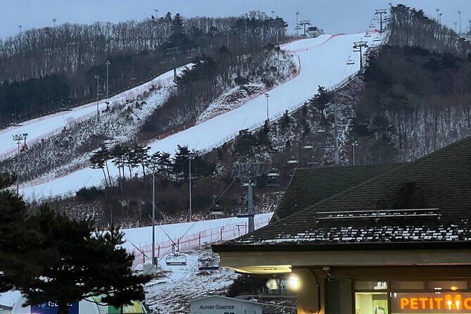 Yongpyong Ski Resort from Seoul with Optional Lesson and Packages - Key points to know before you go
