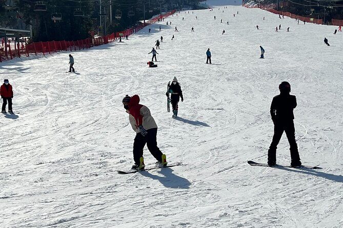 Yongpyong Ski Resort from Seoul with Optional Lesson and Packages - Lessons and instructors: what you’re buying with coaching